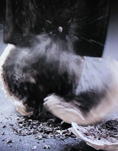 2: Reverse Archaeology