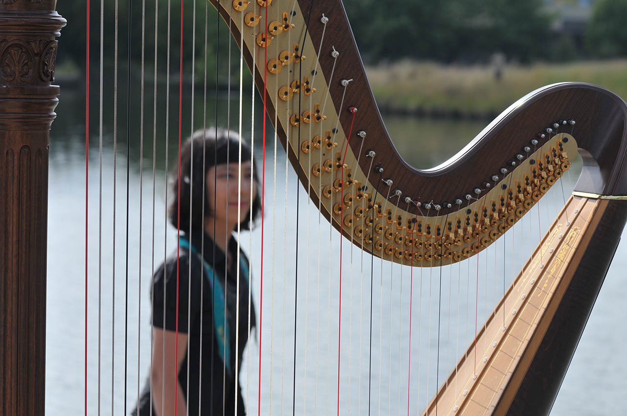 Laura Tanata, Harp