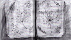 CityNews: Putting an ear to art