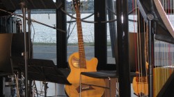 Whispering Gums: Griffyn explores Water with the Swine